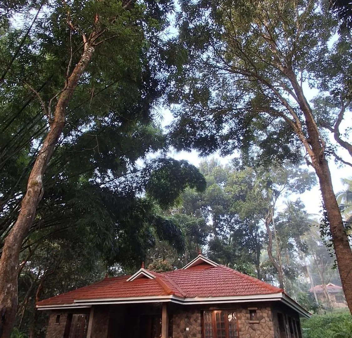 Stone Villa In Blooms Green Farm Wayanad 0*,